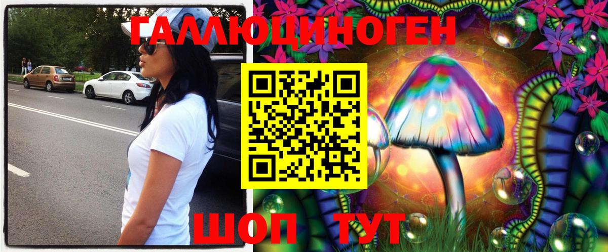Галлюциногенные грибы Psilocybine cubensis Армавир