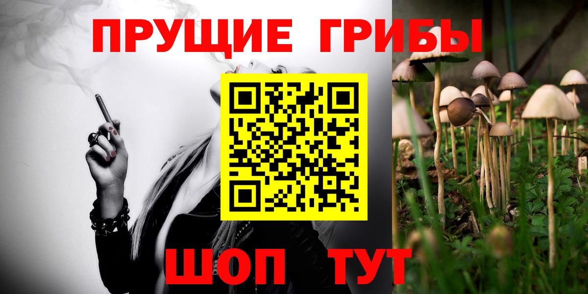Галлюциногенные грибы мухоморы  Галлюциногенные грибы Psilocybine cubensis  Армавир  где купить   Вход с VPN 